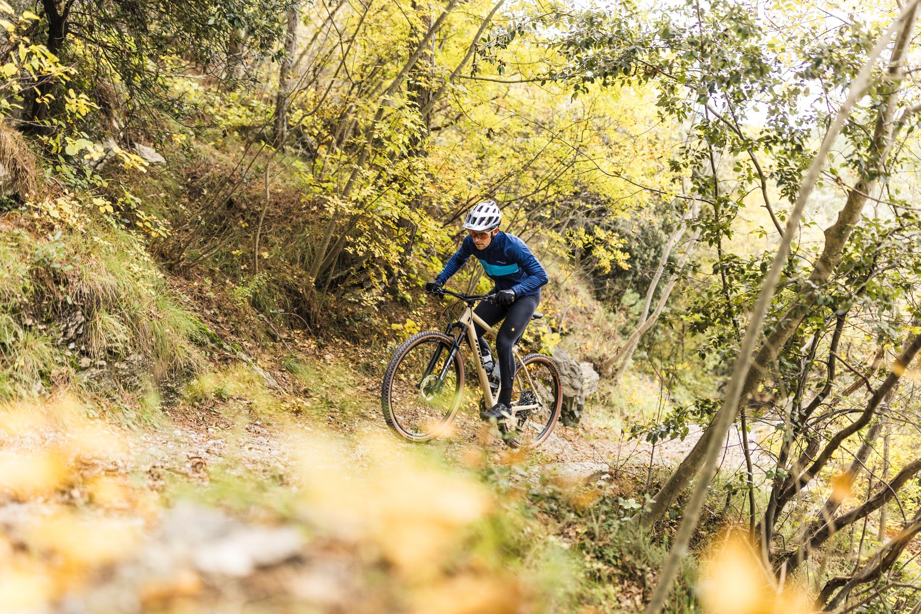 Mountain biker in discesa tra i boschi